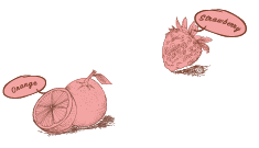 本場イタリアのジェラートが堪能いただけます